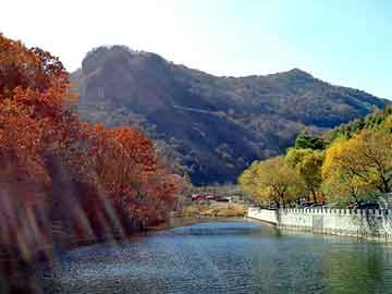 新澳天天开奖资料大全旅游团，世界上最辣的辣椒